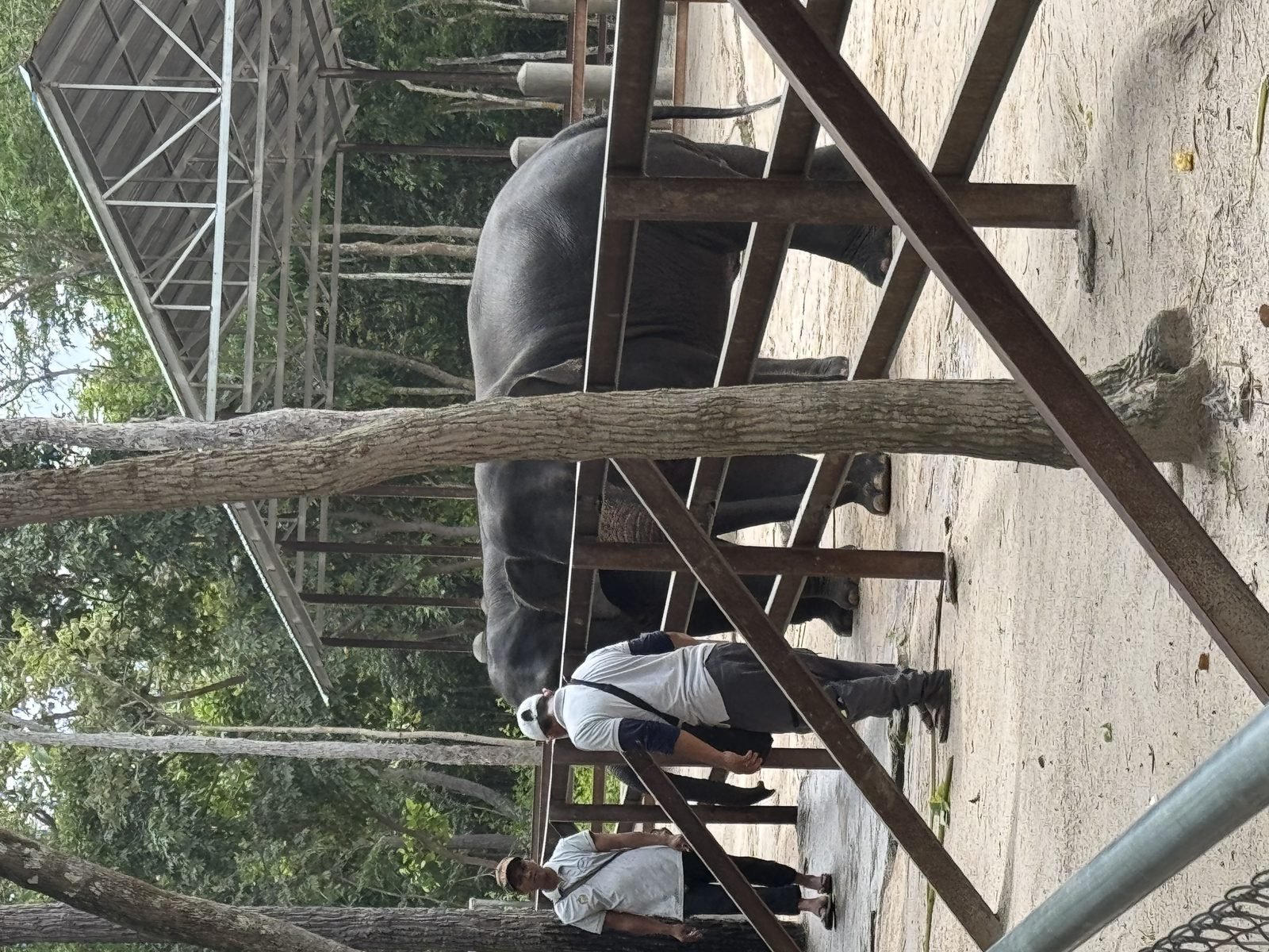 Elephant sanctuary